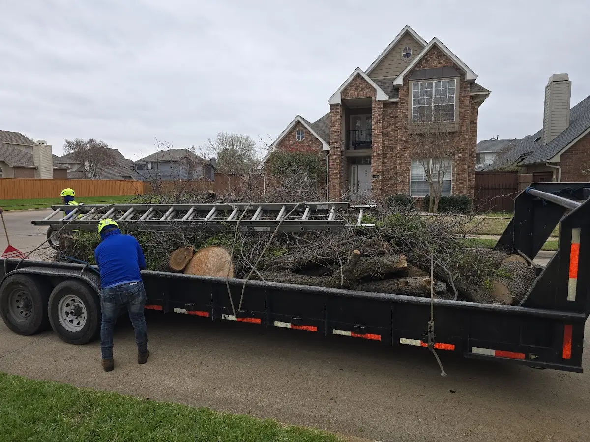 Expert Tree Fertilization with proper safety equipment in Metropolis